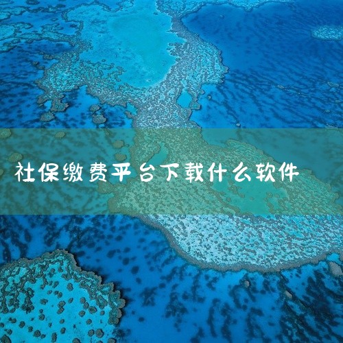 1. 核心应用：“云南人社12333”App该软件是云南省人社厅官方指定的社保服务平台，功能覆盖养老保险全流程服务。用户可通过应用商店下载后注册登录，绑定个人社保账户即可使用。主要功能包括：缴费信息查|