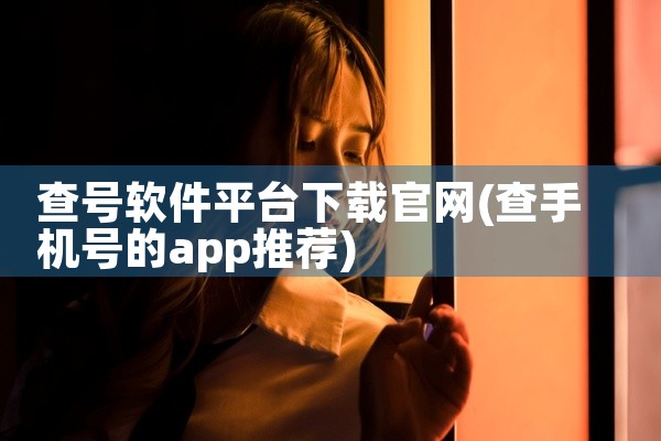 查号软件平台下载官网