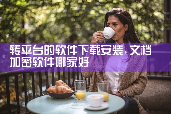 转平台的软件下载安装