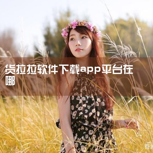 目前平台app主要分为用户端和司机端，需要叫车拉货的用户可以直接在手机应用市场或者苹果商店搜索货拉拉就...|