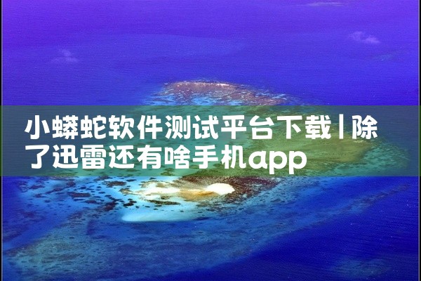 小蟒蛇软件测试平台下载