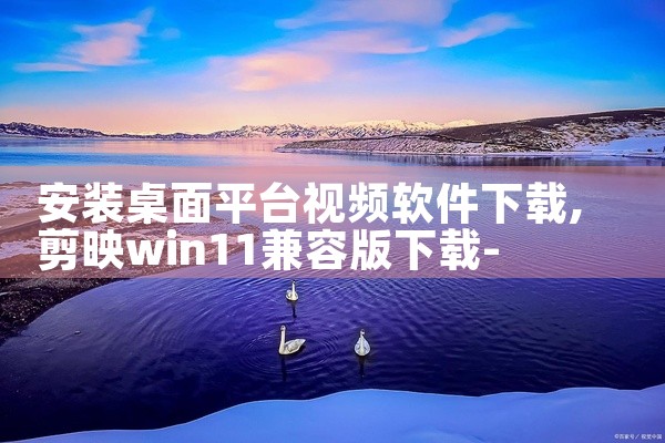 安装桌面平台视频软件下载