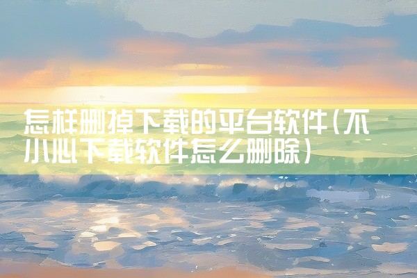 怎样删掉下载的平台软件