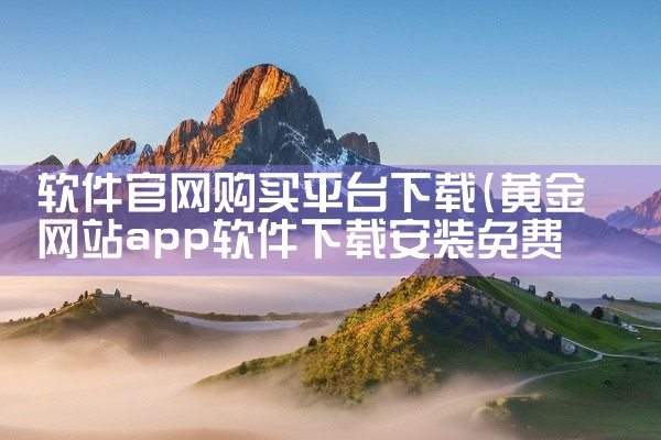 软件官网购买平台下载