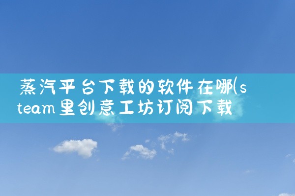 蒸汽平台下载的软件在哪