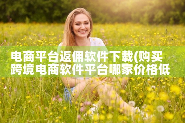 电商平台返佣软件下载