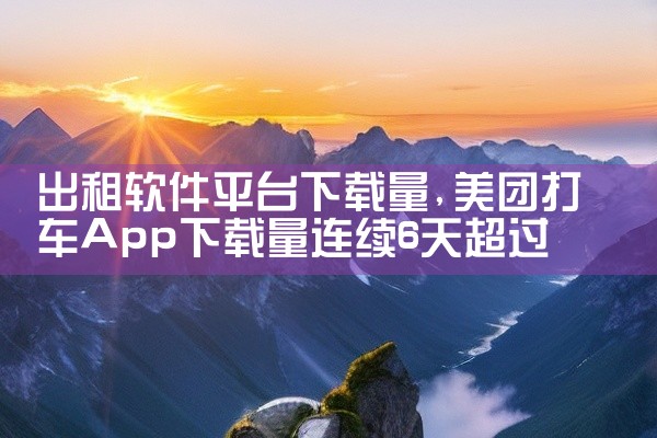 出租软件平台下载量