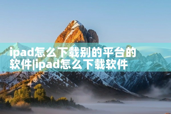 ipad怎么下载别的平台的软件
