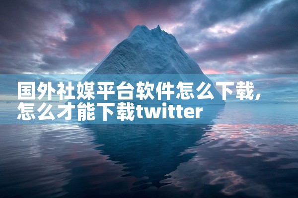 国外社媒平台软件怎么下载