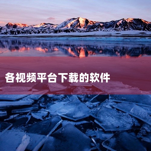 uTorrent：轻量级BT客户端，占用资源少，但免费版含广告，适合低配置设备。BitComet（比特彗星）：支持BT和HTTP下载，集成长效种子功能，适合长期下载冷门资源。三、视频下载工具 硕鼠FL|